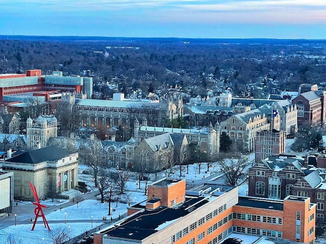 property's view of city