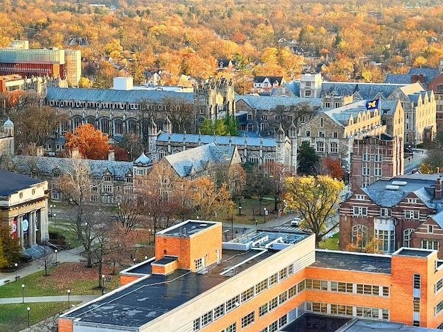 bird's eye view