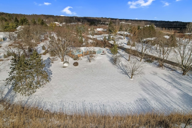 view of snowy aerial view