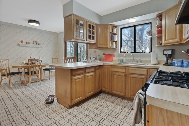 kitchen with kitchen peninsula, wooden walls, sink, and a healthy amount of sunlight