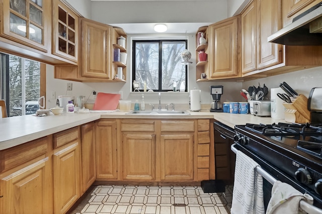 kitchen featuring gas stove and sink