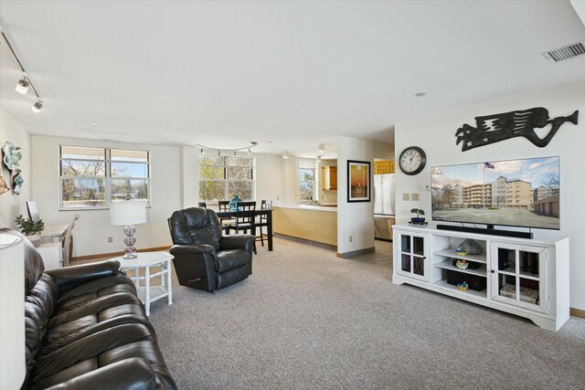 living room featuring light colored carpet and track lighting