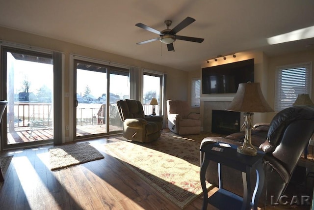 living room with ceiling fan and wood-type flooring