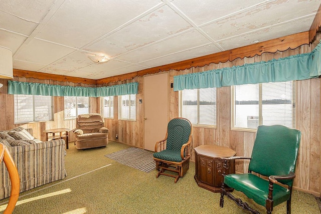 241 E Rose Rd, Coldwater, MI 49036 - living area featuring carpet floors