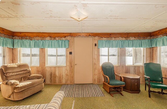 241 E Rose Rd, Coldwater, MI 49036 - living area with carpet floors, plenty of natural light, and wood walls