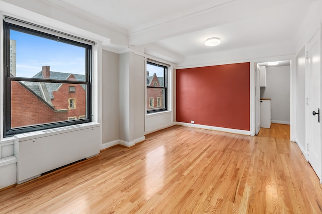 empty room featuring light hardwood / wood-style floors, crown molding, and a wealth of natural light