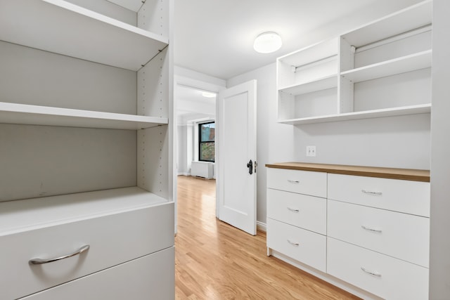 spacious closet with light hardwood / wood-style floors