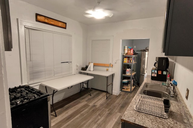 kitchen with wood-type flooring, black gas stove, and sink