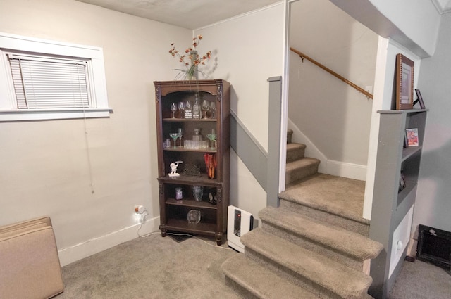 stairs featuring carpet floors