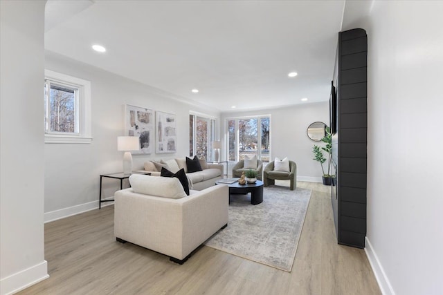 living room featuring light hardwood / wood-style floors