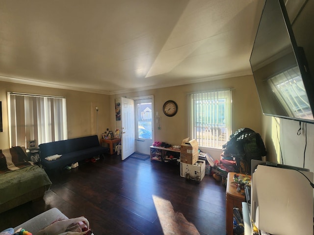 living room with dark hardwood / wood-style flooring and crown molding