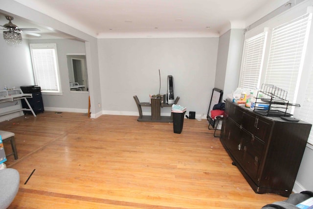 interior space with ceiling fan and light hardwood / wood-style flooring