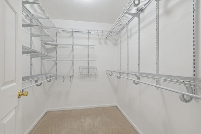 walk in closet with light carpet