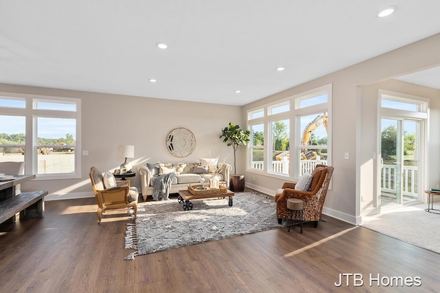 living area featuring plenty of natural light and dark wood-type flooring