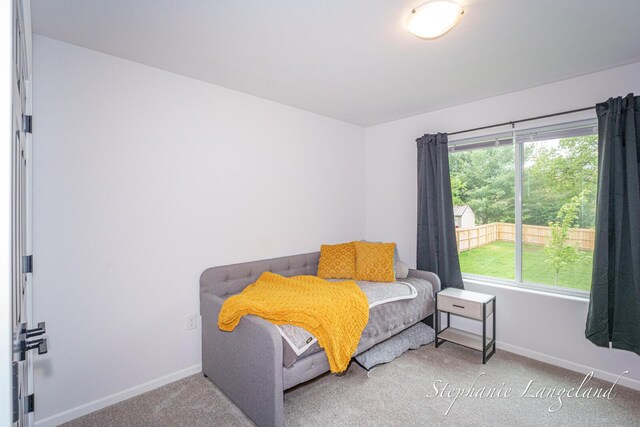 5337 Division Ave N, Comstock Park, MI 49321 - carpeted bedroom with baseboards
