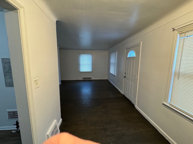 entrance foyer with dark wood-type flooring