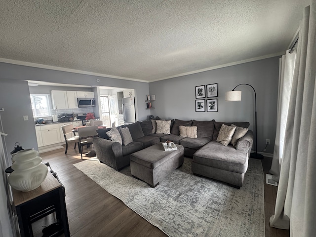 living room with ornamental molding, hardwood / wood-style floors, and a textured ceiling