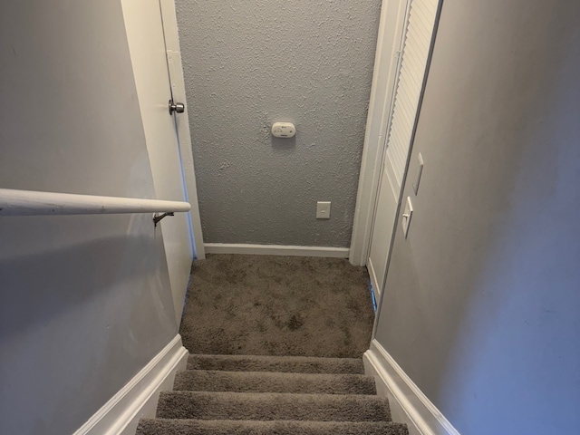 staircase featuring carpet