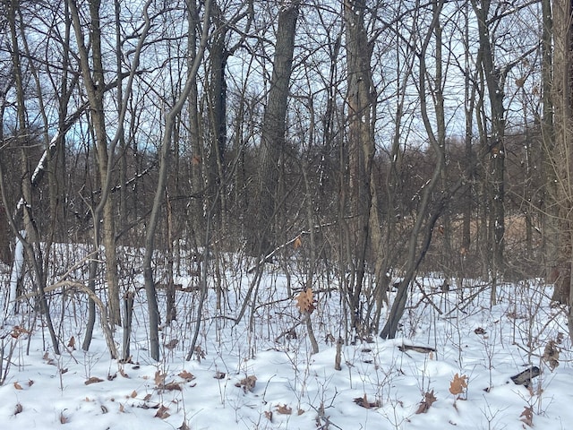 view of snowy view