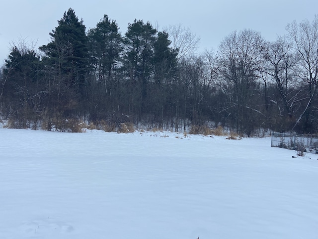 view of yard covered in snow