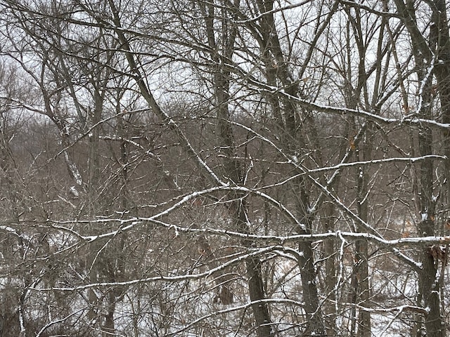 8899 Dwyer Rd, Howell, MI 48855 - view of undeveloped land