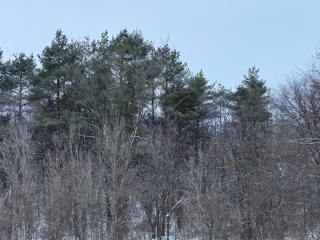 8899 Dwyer Rd, Howell, MI 48855 - view of undeveloped land