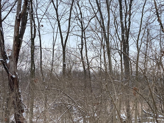 8899 Dwyer Rd, Howell, MI 48855 - view of local wilderness