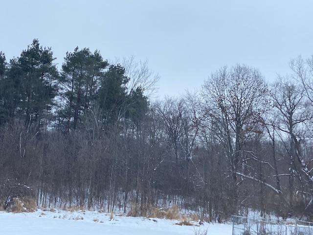 view of snow covered land