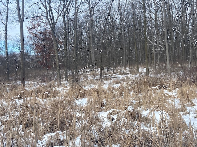 8899 Dwyer Rd, Howell, MI 48855 - view of snowy view
