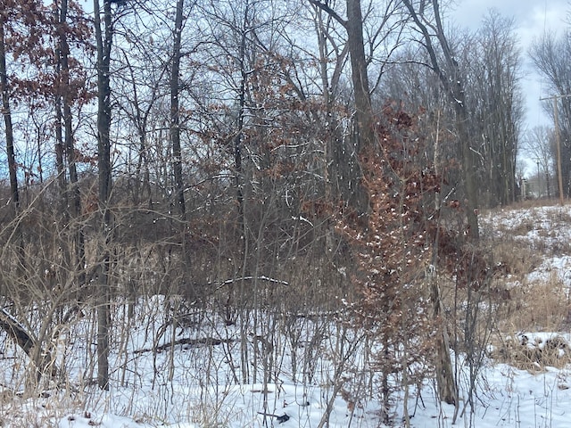 8899 Dwyer Rd, Howell, MI 48855 - view of snow covered land