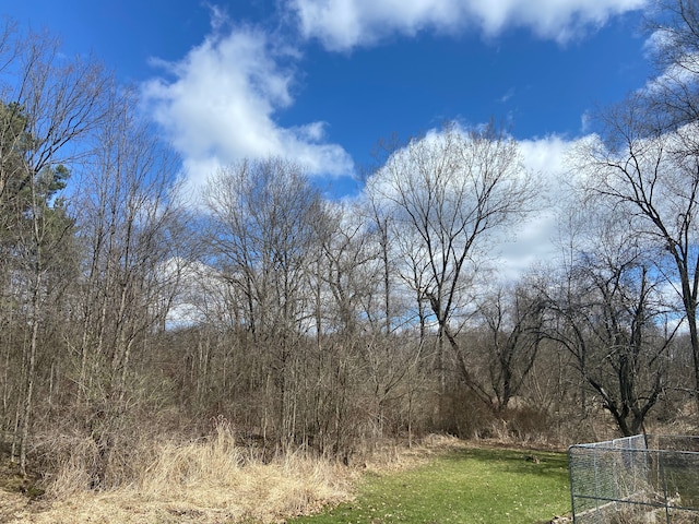 8899 Dwyer Rd, Howell, MI 48855 - view of yard