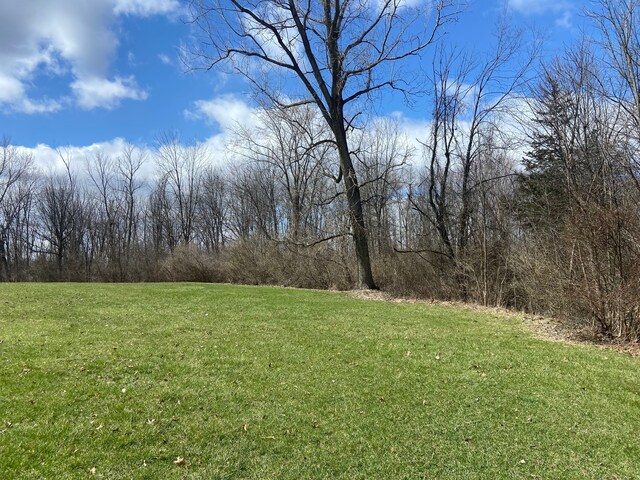 8899 Dwyer Rd, Howell, MI 48855 - view of grassy yard
