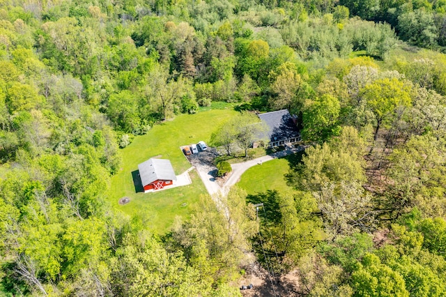 8899 Dwyer Rd, Howell, MI 48855 - drone / aerial view of a forest