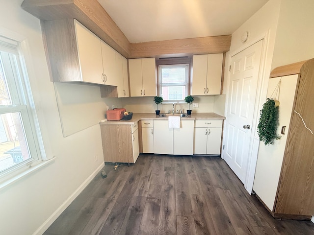 kitchen with white cabinetry, dark wood-type flooring, and sink