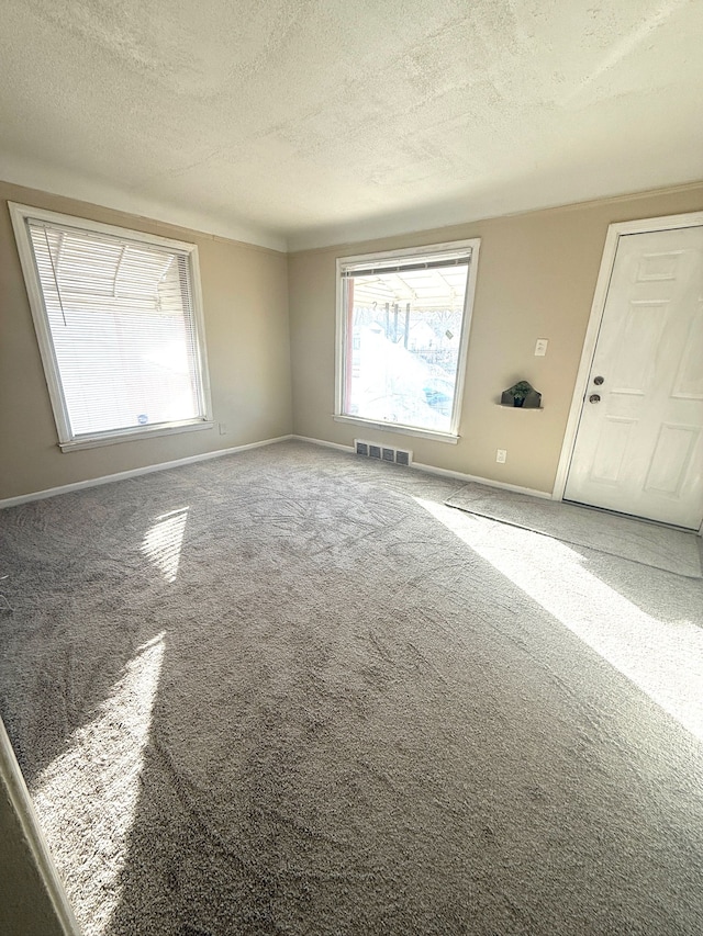 empty room with plenty of natural light, carpet floors, and a textured ceiling