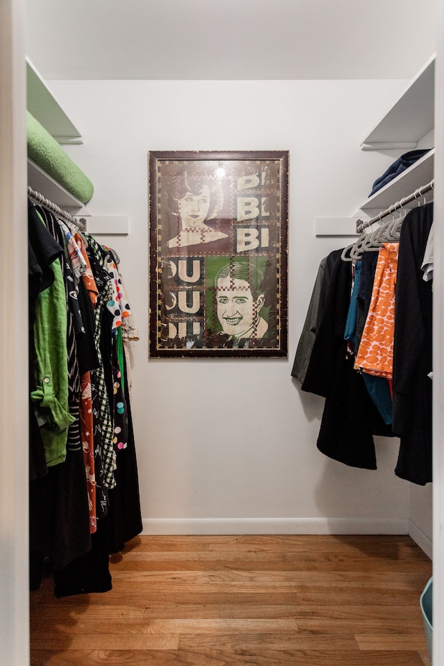 spacious closet with hardwood / wood-style flooring