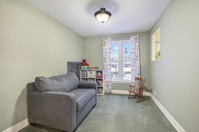 sitting room with carpet floors