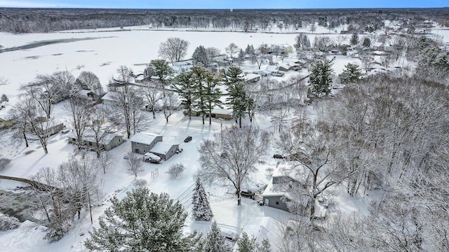 view of snowy aerial view