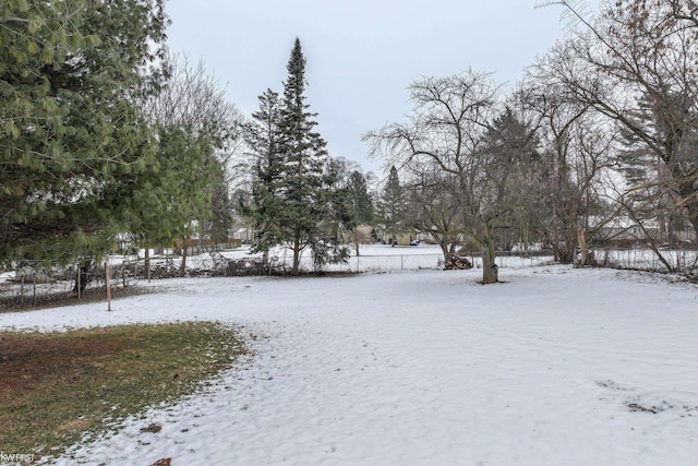 view of snowy yard