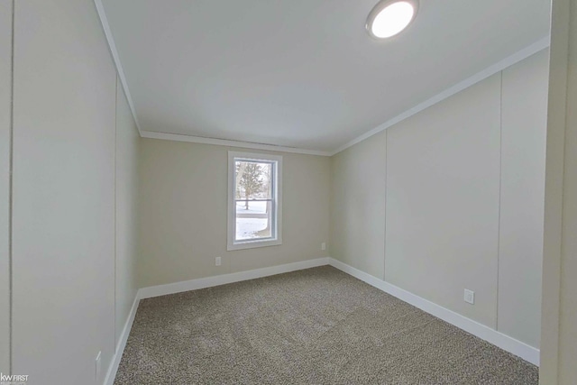 spare room featuring carpet flooring and crown molding