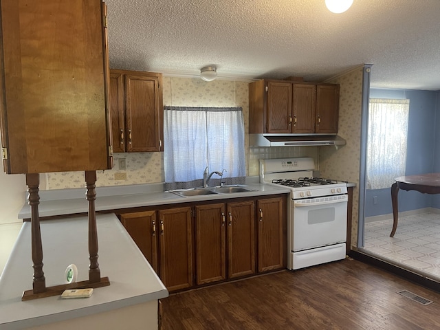 kitchen featuring dark hardwood / wood-style flooring, sink, a textured ceiling, and white gas range oven