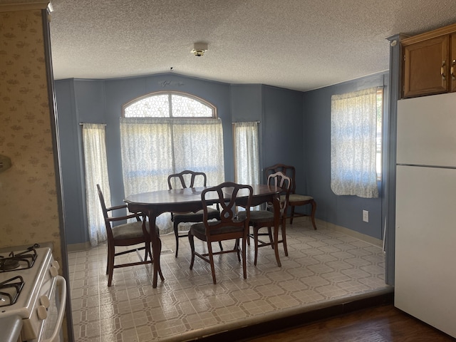 dining area featuring a textured ceiling, a wealth of natural light, lofted ceiling, and hardwood / wood-style flooring