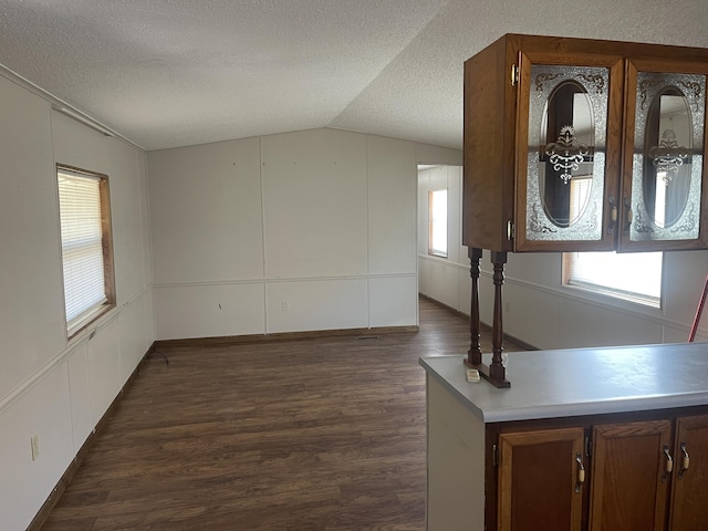 entryway with a textured ceiling, dark wood-type flooring, and lofted ceiling