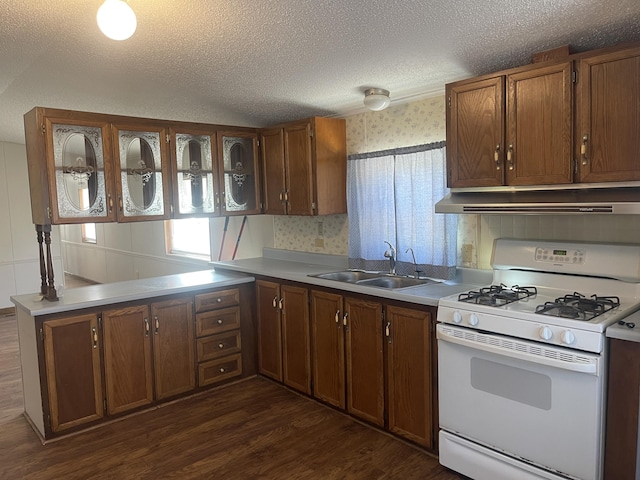 kitchen with sink, a textured ceiling, gas range gas stove, dark hardwood / wood-style flooring, and kitchen peninsula