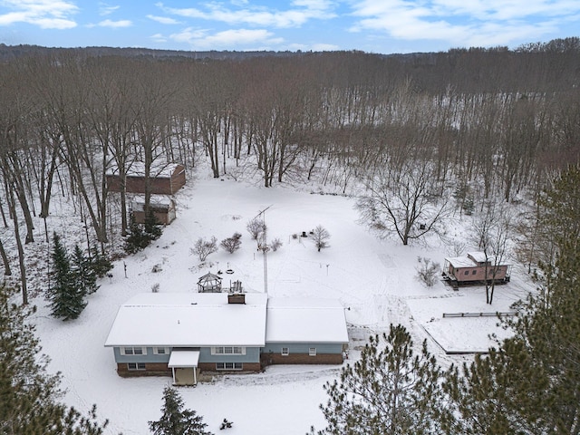 view of snowy aerial view