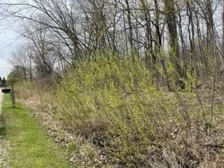 7410 Surrey Dr, Onsted MI, 49265 land for sale