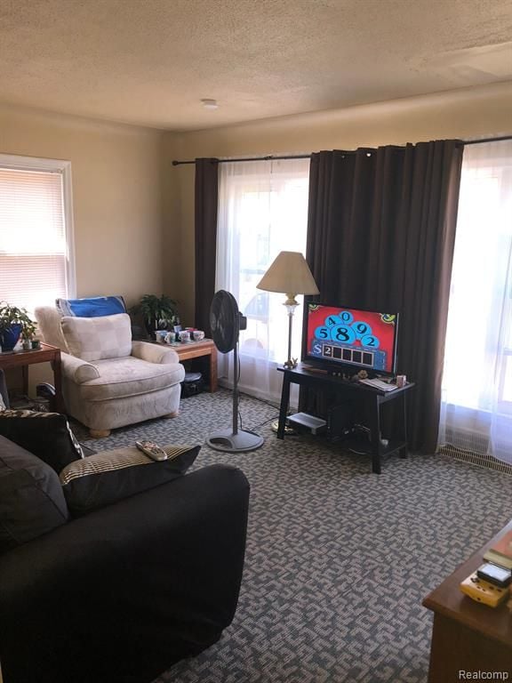 living room featuring carpet flooring and a textured ceiling