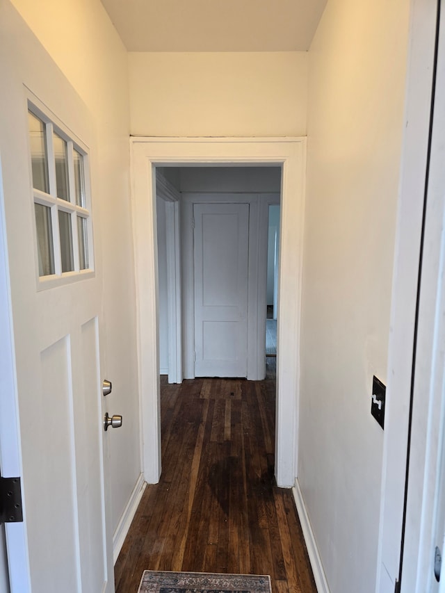 hallway featuring dark hardwood / wood-style floors