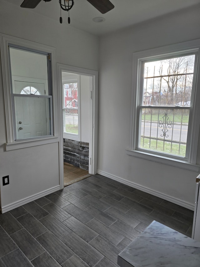 entrance foyer featuring plenty of natural light and ceiling fan