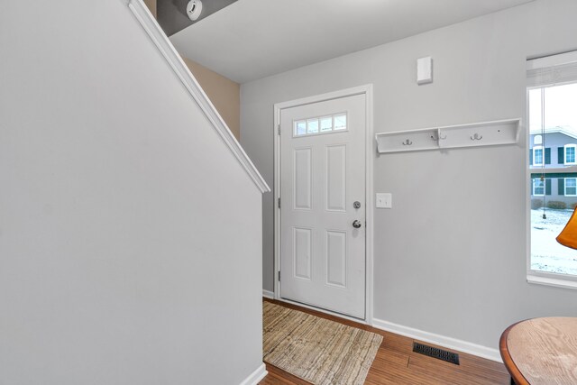 entryway featuring wood-type flooring